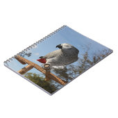 Carnet Superbe perroquet gris africain (Côté gauche)