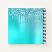 Carnet Superbes gouttes de menthe bleu aqua & parties sci (Dos)