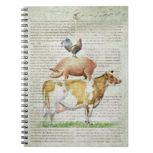 Carnet Support B1.tif de la ferme NOB11 (Devant)