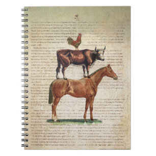 Carnet Support C1.tif de la ferme NOB12