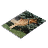 Carnet Support d'exposition de berger allemand (Côté gauche)