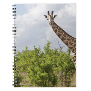 Carnet Sur le safari en Tanzanie, l'Afrique. 2