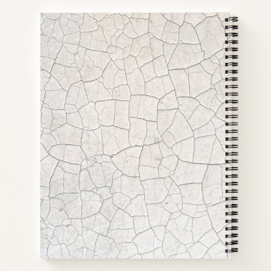 Carnet Surface fissurée (Dos)