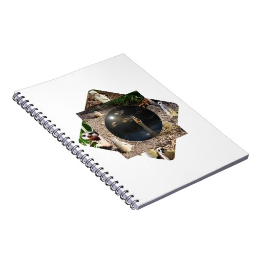 Carnet Suricate Polyscope, (Côté Droit)