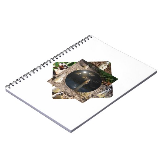 Carnet Suricate Polyscope, (Côté gauche)