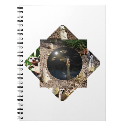 Carnet Suricate Polyscope, (Devant)