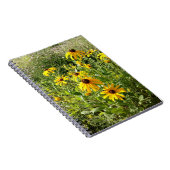 Carnet Susans aux yeux noirs (Côté Droit)