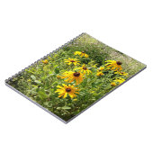 Carnet Susans aux yeux noirs (Côté gauche)