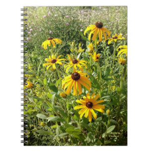 Carnet Susans aux yeux noirs
