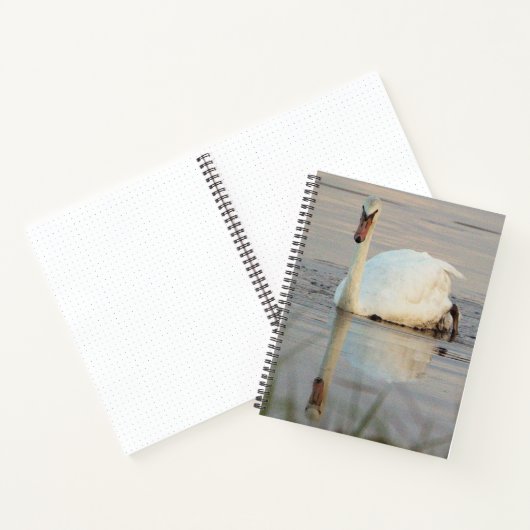 Carnet Swan Notebook (Intérieur)