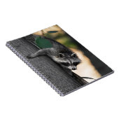 Carnet Sweet Baby Raccoon (Côté Droit)