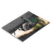 Carnet Sweet Baby Raccoon (Côté gauche)