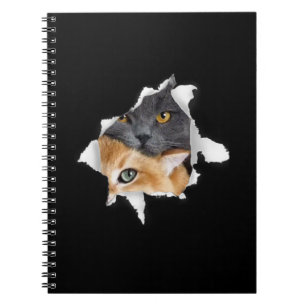 Carnet Sweet Kitten Couple Drôle cadeau Amoureux des ch