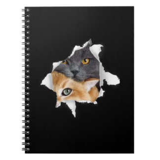 Carnet Sweet Kitten Couple | Drôle cadeau Amoureux des ch