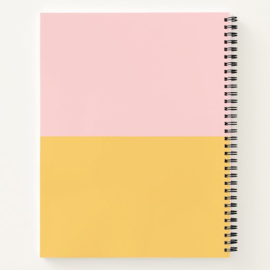 Carnet Sylveon And Jolteon Notebook ⚡︎ (Dos)