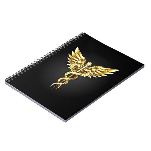 Carnet Symbole Polygonal Or Caduceus (Côté gauche)