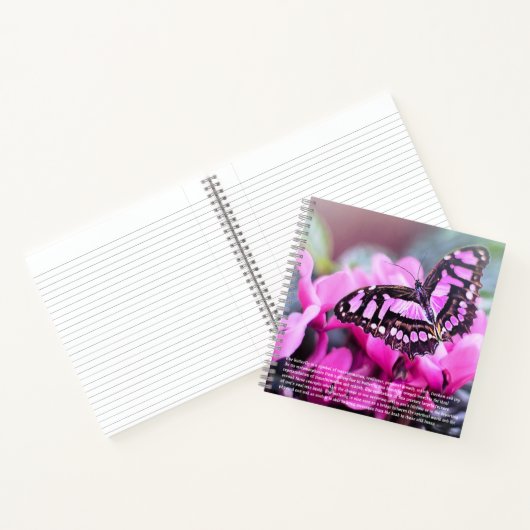 Carnet Symbolisme papillon Couverture rigide (Intérieur)