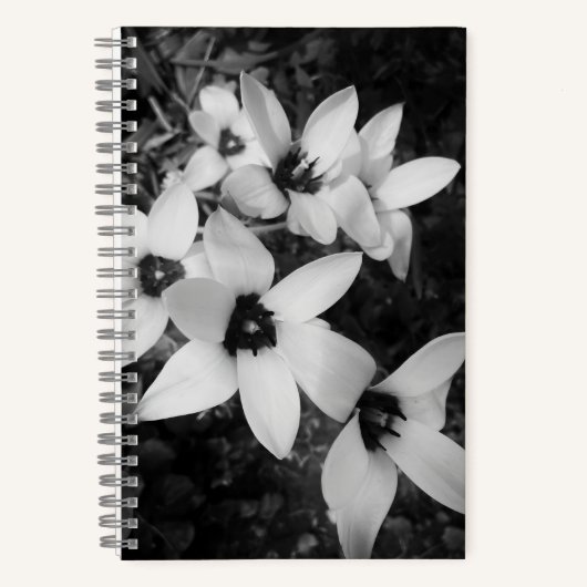Carnet Symétrie Silencieuse (Recto)