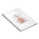 Carnet Symptômes du diabète (Côté Droit)