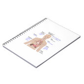 Carnet Symptômes du diabète (Côté gauche)