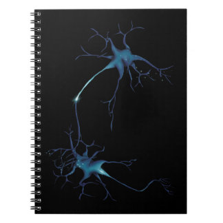 Carnet Synapse Entre Neurons, Neuroscience Neuron