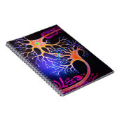 Carnet Synapses connectant les neurones (Côté Droit)
