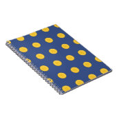 Carnet synura sensationnel (Côté Droit)