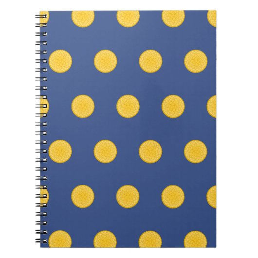 Carnet synura sensationnel (Devant)