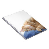 Carnet Tabby (Côté Droit)