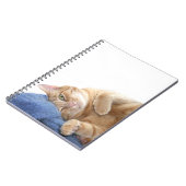 Carnet Tabby (Côté gauche)