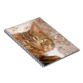 Carnet Tabby Cat (Côté Droit)