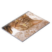 Carnet Tabby Cat (Côté gauche)