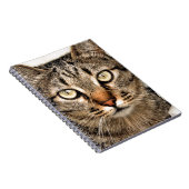 Carnet Tabby Cat (Côté Droit)