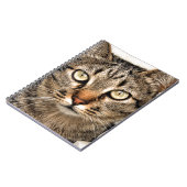 Carnet Tabby Cat (Côté gauche)