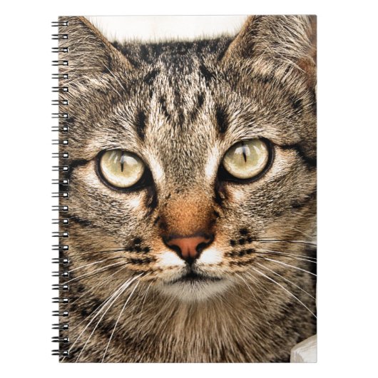 Carnet Tabby Cat (Devant)