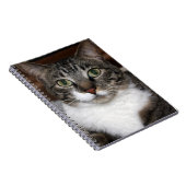 Carnet Tabby Cat Pet Animal Photographie (Côté Droit)