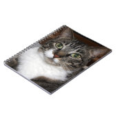 Carnet Tabby Cat Pet Animal Photographie (Côté gauche)