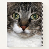 Carnet Tabby Cat Pet Animal Visage Photographie (Dos)