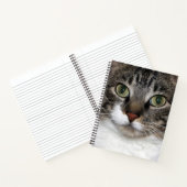 Carnet Tabby Cat Pet Animal Visage Photographie (Intérieur)
