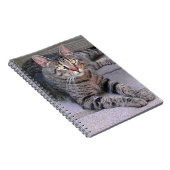 Carnet Tabby Chat Brown à l'extérieur (Côté Droit)