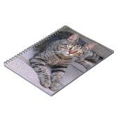 Carnet Tabby Chat Brown à l'extérieur (Côté gauche)