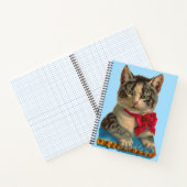 Carnet Tabby de Victoria (Intérieur)