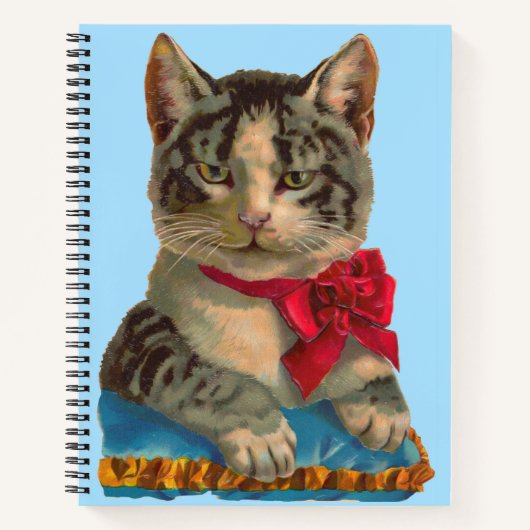 Carnet Tabby de Victoria (Devant)