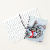Carnet Tabby gris mou Chat avec Noël Casquette (Intérieur)
