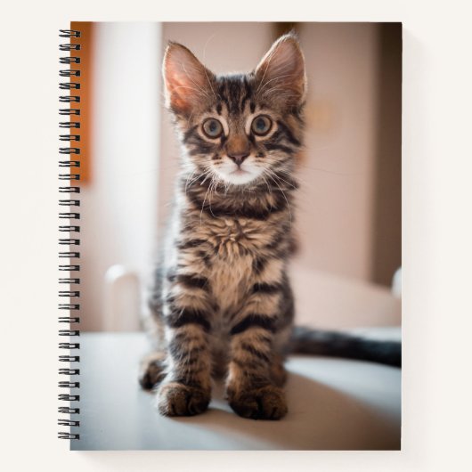 Carnet Tabby Kitten sur la table (Devant)