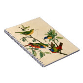 Carnet Tableau Audubon vintage Bunting Bird Peinture (Côté Droit)