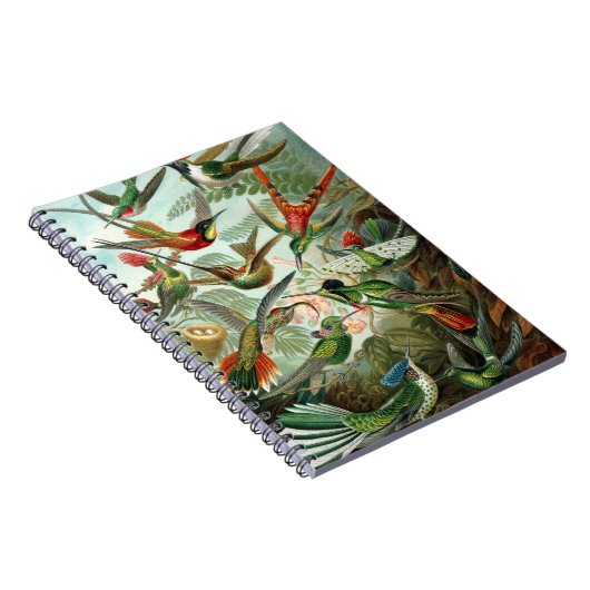 Carnet tableau classique de la faune des oiseaux colibris (Côté Droit)