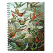 Carnet tableau classique de la faune des oiseaux colibris (Devant)
