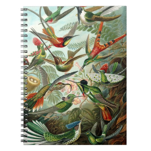 Carnet tableau classique de la faune des oiseaux colibris (Devant)