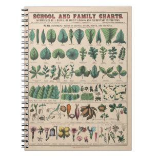 Carnet Tableau de l'École de Botanique Antique Nature Vin